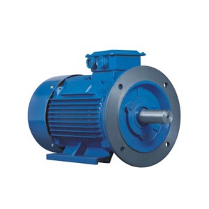 IE2 series high efficiency three-phase asynchronous motor