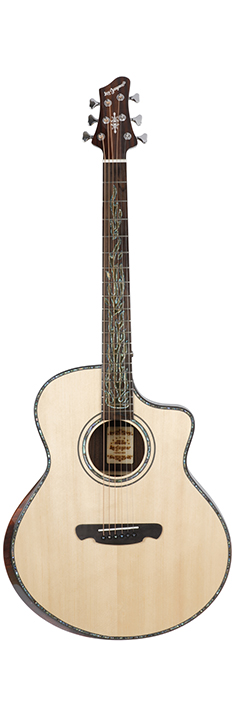 High Quality 36 Dreadnaught Acoustic Guitar - AG-SR-9S – HYGENT