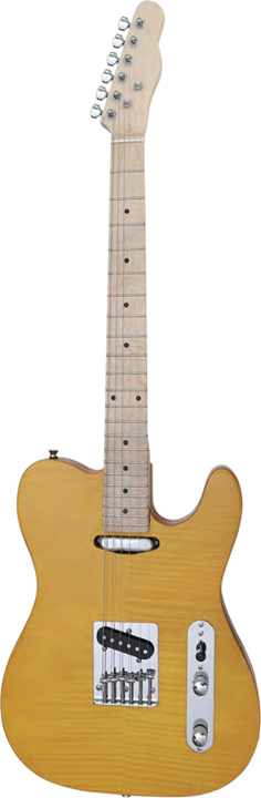 Lowest Price for Natural Color Electric Guitar - TL-Series – HYGENT