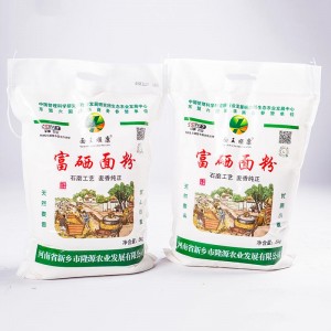 Renewable Design for Silken Bean Curd - Selenium enriched flour  – Longyuan