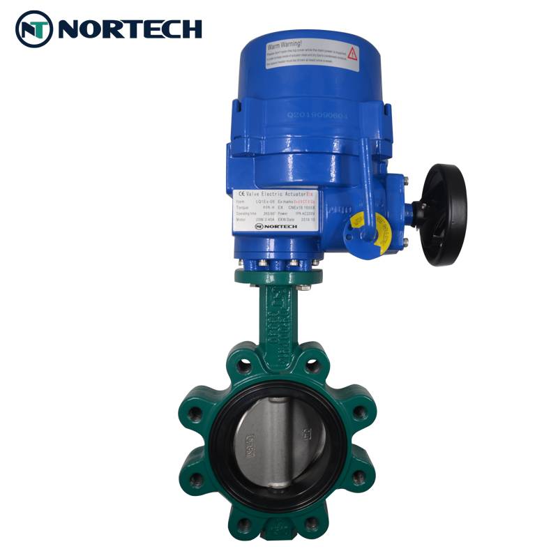 China Lug Type Gear Operation Ductile Iron PTFE Butterfly Valve