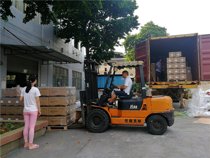 20ft Container of Home Inverters and Solar Inverters Exporting to Middle East