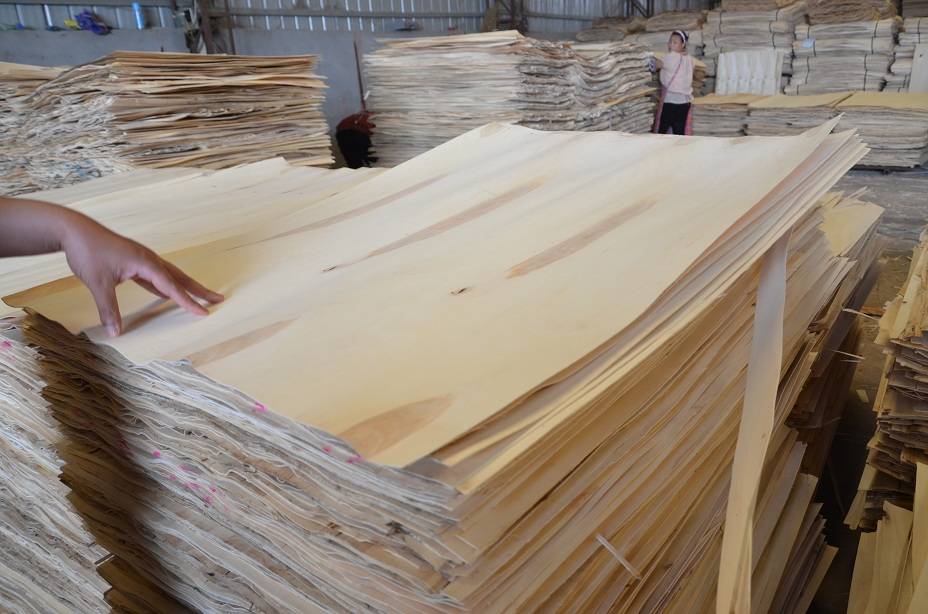 Film-faced-plywood-raw-material