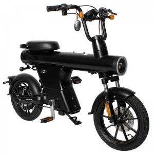 SEBIC motorcycle New Style Central Suspension 16 Inch Comfortable One Wheel Electric Bike