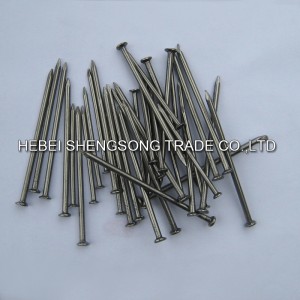 New Arrival China China Common Nails for Wood Nail