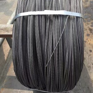 steel iron wire-A6