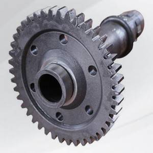 2BS315.30-5A Working pump shaft gear 272200747