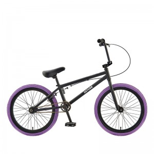 Factory Cheap Children Bicycles Bicycle - GOOD QUALITY 20INCH FREESTYLE BIKE – Lenda