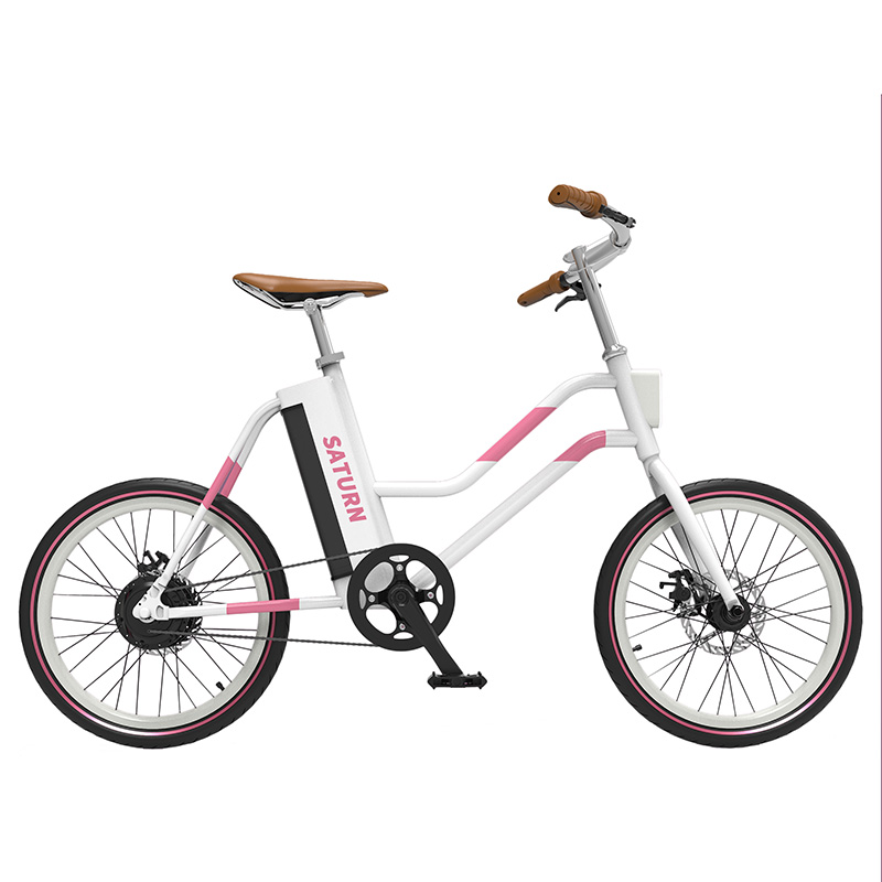 Super Lowest Price Motorcycle Scooter - 20INCH ALLOY BEACH E BIKE FOR GIRL – Lenda