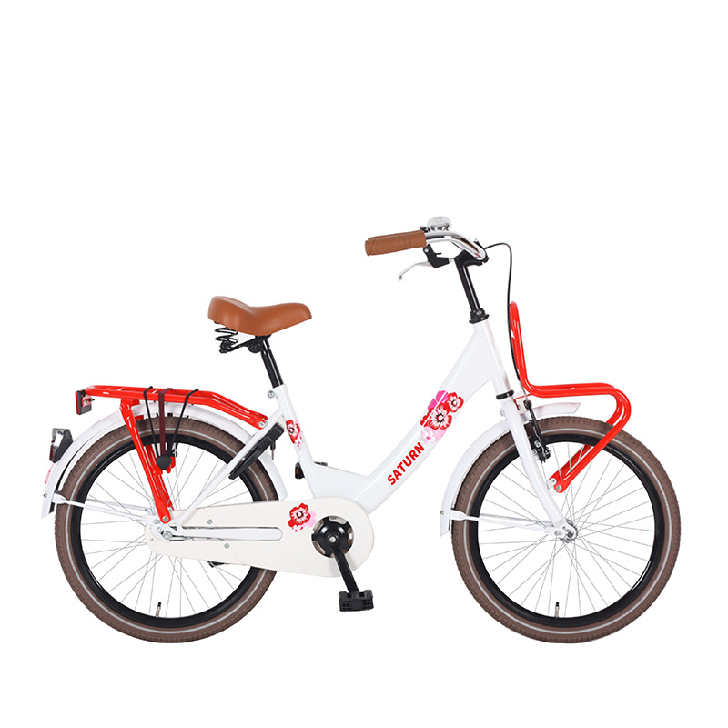 Reasonable price 16 Inch Folding Bike - HOT SELLING 20”STEEL FRAME CITY BIKE CALSSIC DUTCH BICYCLE – Lenda