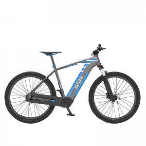 Good Quality Hidden Battery Electric Bicycle - HOT SALE 29INCH HIDDEN BATTERY ELECTRIC MOUNTAIN BIKE – Lenda