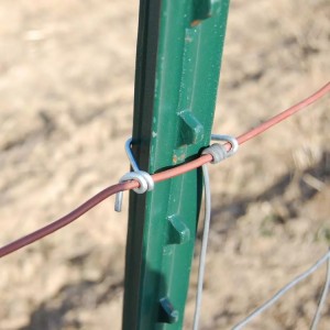 Angle Post For Fence - Steel Fence Post-Star Picket – Rainbow