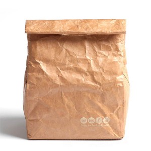 Steady Food Delivery Kraft Paper Foodie Cooler Bag