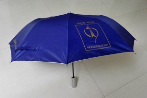 Two fold auto open umbrella