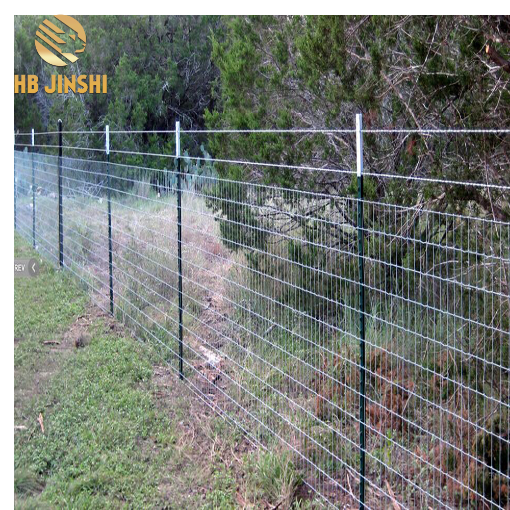 7-Green-Painted-American-Studded-T-Fence (1)