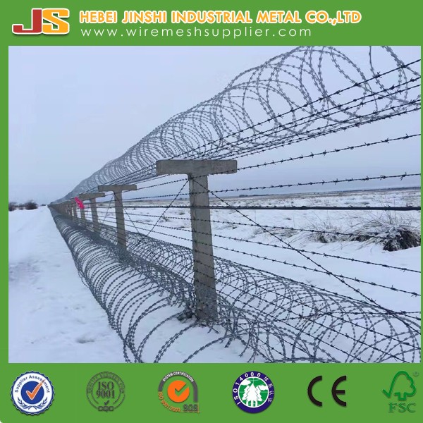 Security fencing razor barbed wire/ razor combat wire/ safety razor wire