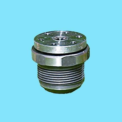 Hot Sale for Diesel Injector - Delivery Valve – Xinya Featured Image