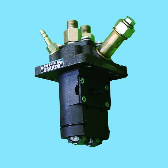 China Factory for Diesel Injector Nozzle - Fuel Pump – Xinya