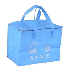 OEM/ODM Supplier Milk Cooler Bag - Manufacturer wholesale blue heavy duty insulated fish non woven cooler bags – Xinlimin