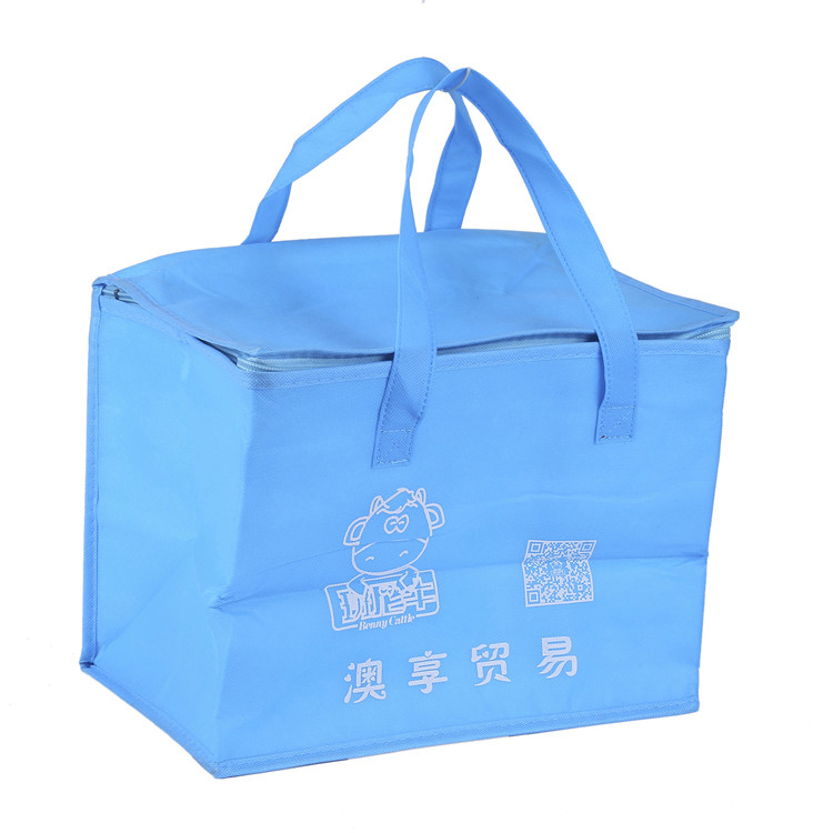 China Cheap price Promotional gray Color Small Cake Freezer Cooler Bag For Outdoor Picnic Featured Image