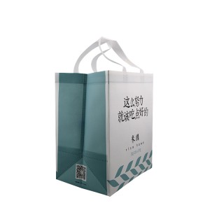 Bottom price Market Tote Bag - Wholesale eco-friendly polypropylene fabric laminated pp non woven handled clothes carrier shopping bag with logos – Xinlimin