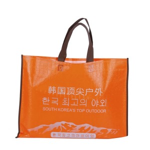 Chinese wholesale Budget Shopper Tote - 80 gsm wenzhou storage laminated polypropylene pp nonwoven bags – Xinlimin