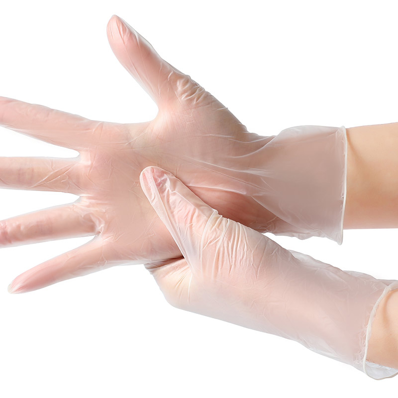 disposable pvc glove Featured Image