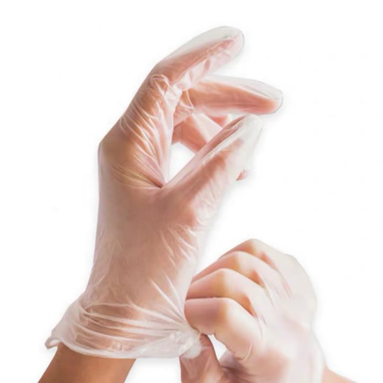 Disposable Vinyl Gloves Featured Image