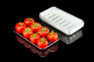 Transparent food grade plastic tray 2513