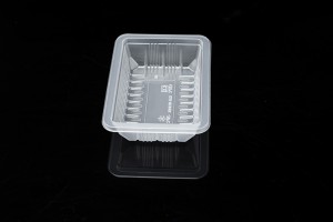 High definition Black Vegetable Plastic Fruit Tray - Fresh lock Packing 1813H5 – Yihao