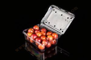 500g OEM customized Frozen Lock Fresh fruit Packaging
