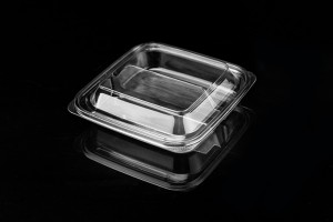 Good Wholesale Vendors Fruit Platter With Cream Cheese Dip - 400g transparent square 2-compartment fruit cut salad Platter E02 – Yihao