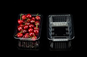 Factory wholesale Disposable Serving Trays - Pet food grade fruit cutting tray 1813H4 – Yihao