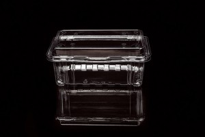 Disposable clear blister plastic container with hinged lid 400m
