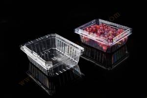 1000g OEM customized Frozen Lock Fresh fruit Packaging