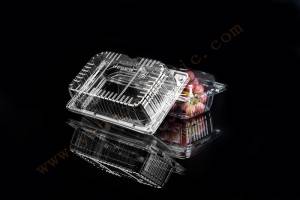 1500g OEM customized Frozen Lock Fresh fruit Packaging