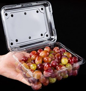 OEM Fresh Fruit Party Tray in stock packing