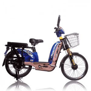 Electric Bicycle Lead Acid Lithium Battery Ebike