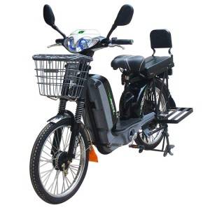 Electric Bicycle Lead Acid Lithium Battery Ebike
